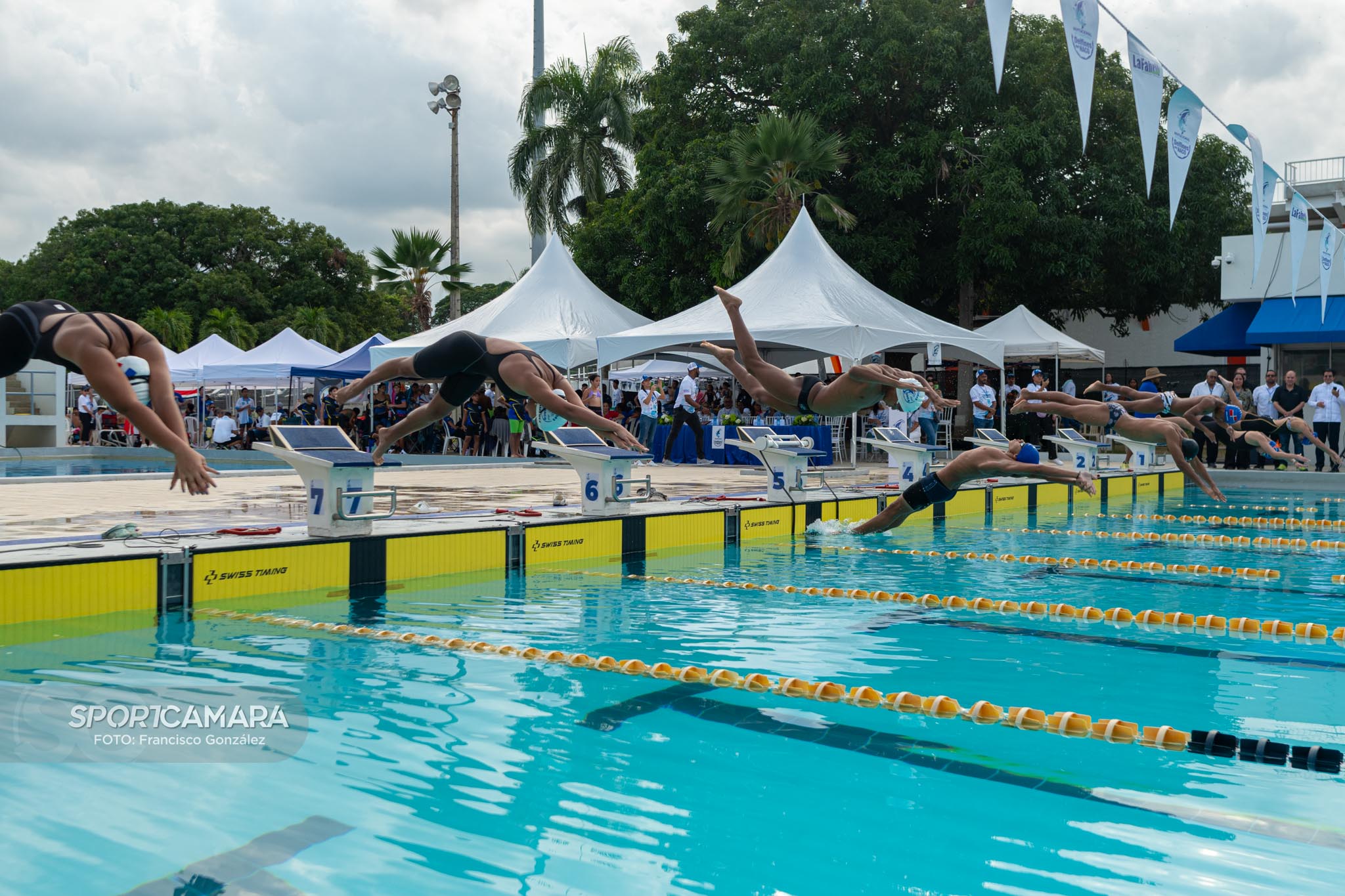 invitacional internacional delfines del naco 2024